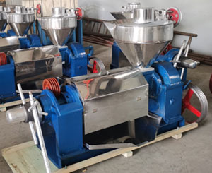 Screw oil press machine