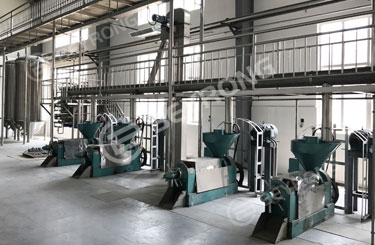 30TPD Oil Production Line