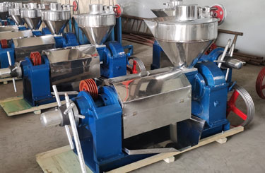 Screw oil press machine