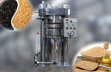 Sesame Oil Press