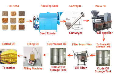 Screw oil press machine